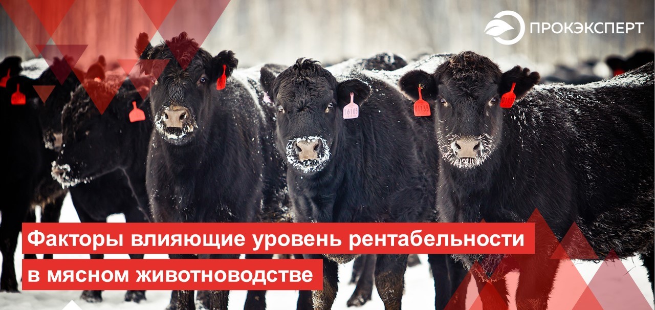 Семинар - совещание на тему: «Развитие отрасли животноводства на территории Пензенской области».